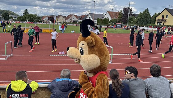 Weltklasse in Rehlingen