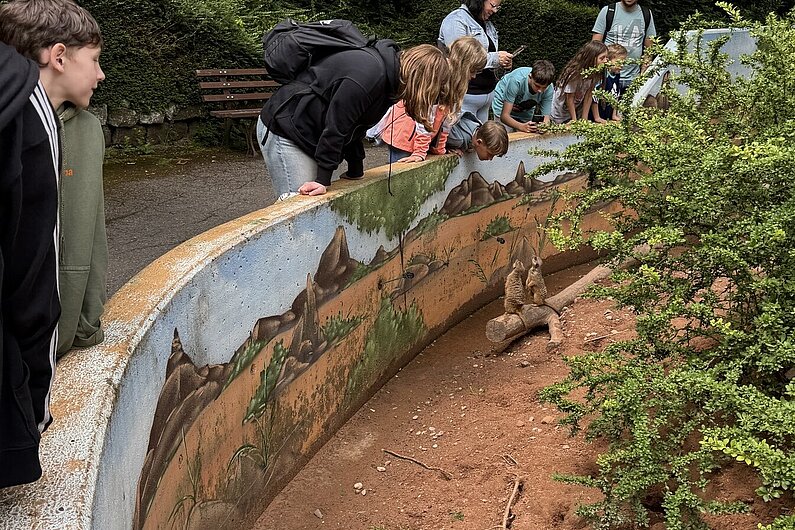 Zoo